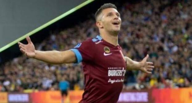 在这篇稿件 在这篇稿件